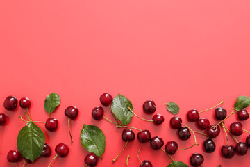 Many sweet cherries and leaves on red background