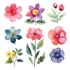 Watercolor flowers. Set Watercolor of multicolored colorful soft flowers. Flowers are isolated on a white background. Flowers pastel colors. generative ai