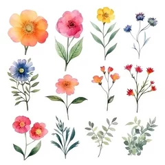 Foto auf Acrylglas Watercolor flowers. Set Watercolor of multicolored colorful soft flowers. Flowers are isolated on a white background. Flowers pastel colors.  © Nikolai