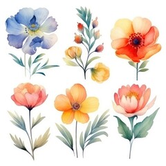 Fototapeta na wymiar Watercolor flowers. Set Watercolor of multicolored colorful soft flowers. Flowers are isolated on a white background. Flowers pastel colors. 