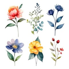 Watercolor flowers. Set Watercolor of multicolored colorful soft flowers. Flowers are isolated on a white background. Flowers pastel colors. 