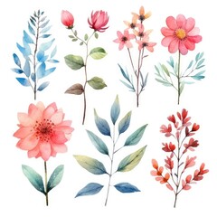 Watercolor flowers. Set Watercolor of multicolored colorful soft flowers. Flowers are isolated on a white background. Flowers pastel colors. 