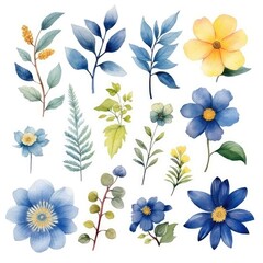 Watercolor flowers. Set Watercolor of multicolored colorful soft flowers. Flowers are isolated on a white background. Flowers pastel colors. 