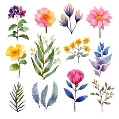 Watercolor flowers. Set Watercolor of multicolored colorful soft flowers. Flowers are isolated on a white background. Flowers pastel colors. 