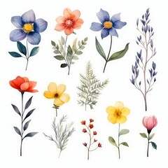 Watercolor flowers. Set Watercolor of multicolored colorful soft flowers. Flowers are isolated on a white background. Flowers pastel colors