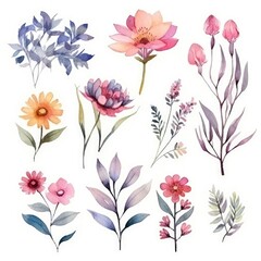 Watercolor flowers. Set Watercolor of multicolored colorful soft flowers. Flowers are isolated on a white background. Flowers pastel colors