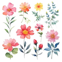 Fotobehang Watercolor flowers. Set Watercolor of multicolored colorful soft flowers. Flowers are isolated on a white background. Flowers pastel colors © Nikolai