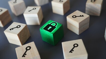 One padlock with many keys, metaphor of problems, solutions and risk management;