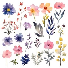 Watercolor flowers. Set Watercolor of multicolored colorful soft flowers. Flowers are isolated on a white background. Flowers pastel colors.