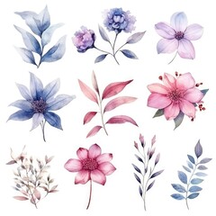 Watercolor flowers. Set Watercolor of multicolored colorful soft flowers. Flowers are isolated on a white background. Flowers pastel colors.