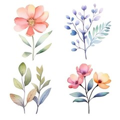 Watercolor flowers. Set Watercolor of multicolored colorful soft flowers. Flowers are isolated on a white background. Flowers pastel colors. generative ai