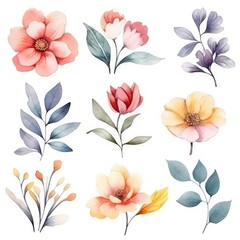 Fototapeta na wymiar Watercolor flowers. Set Watercolor of multicolored colorful soft flowers. Flowers are isolated on a white background. Flowers pastel colors