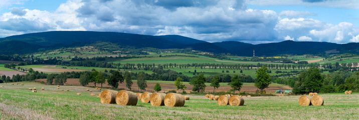 roll of hay lying on the background of a beautiful landscape
