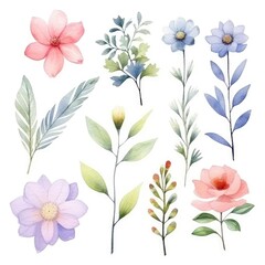 Watercolor flowers. Set Watercolor of multicolored colorful soft flowers. Flowers are isolated on a white background. Flowers pastel colors