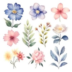 Watercolor flowers. Set Watercolor of multicolored colorful soft flowers. Flowers are isolated on a white background. Flowers pastel colors