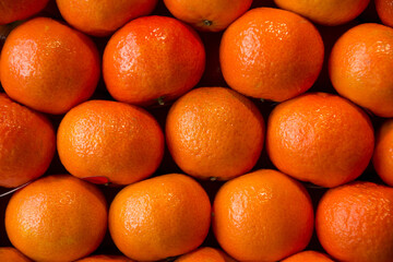 oranges displayed in a market stall