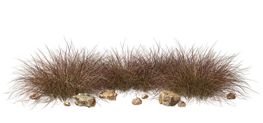 Isolate savanna dry grass meadow shrubs with rocks on transparent backgrounds 3d render png