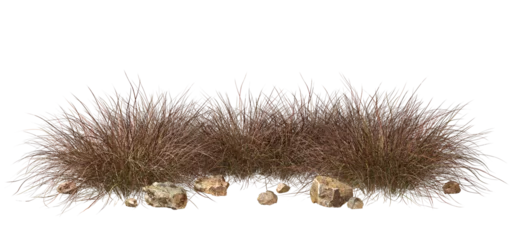 Foto op Aluminium Isolate savanna dry grass meadow shrubs with rocks on transparent backgrounds 3d render png © Krit