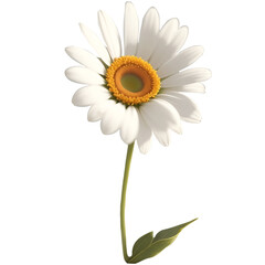 The perfect embodiment of elegance and grace, a daisy that evokes emotions of passion, love, and desire with its vibrant hues and soft, silky petals.