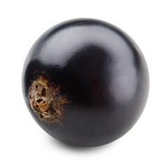 Black currant isolated