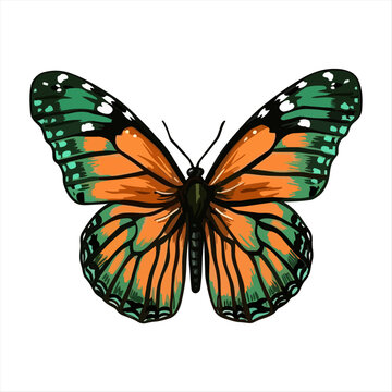 Beautiful colorful cartoon exotic vector isolated on white pastel green butterfly with colorful wings and antennae sticker flat design