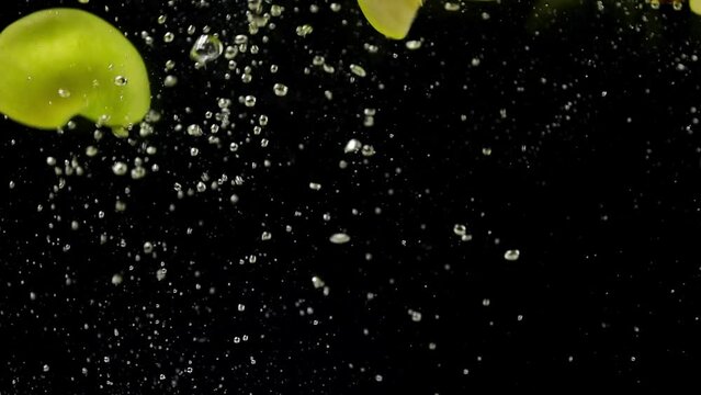 green apple falling into the water, slow motion of fruit in water, slow motion, apple fruits, fruit in water 