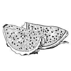 Dragon fruit slices detailed black white line vector illustration. Exotic tropical pitaya plant for textile, fabric, print, menu, digital design