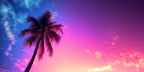 Obraz na płótnie Canvas Palm tree against the colored sky. Tree silhouette against the colorful sky. Palm tree on blue sky background.