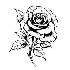Rose Flower Vector