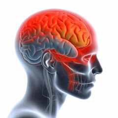 anatomy head blue red pain brain x-ray headache medical medicine. Generative AI.