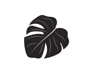 Indoor (office) plant - monstera leaf. Design. Vector icon