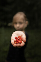 Focus on the hand while holding some berries in the forest - 618052510