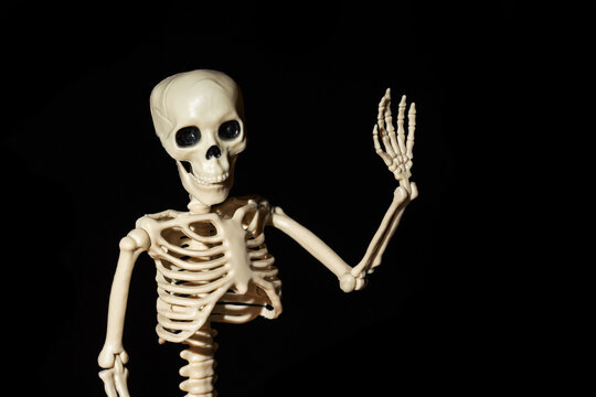 Human Skeleton waving greeting hand isolated on black background. Day of the Dead