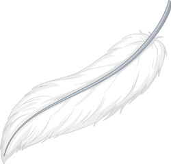 White isolated feather cartoon