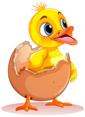 Little Duck Hatching from Egg