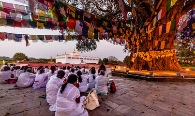 Devotees worship in Lumbini: The birth place of Buddha