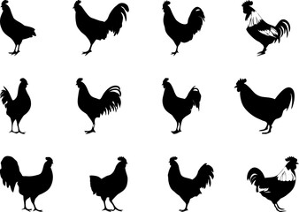 chicken rooster hen silhouettes set