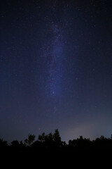 Obraz na płótnie Canvas Milky Way galaxy in night sky above forest