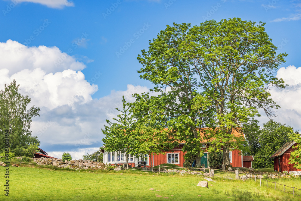 Canvas Prints Red cottage in the countryside