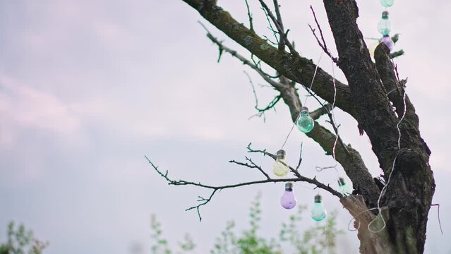 Static cinematic shot of a dead tree decorated with a garland of multicolored light bulbs against the blue sky.