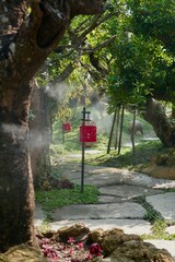 Chinese Lampion in Natural Garden