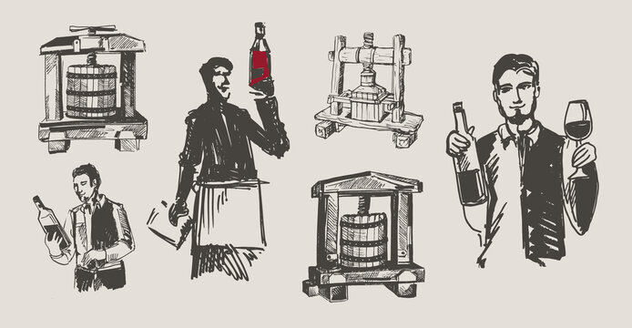 Hand Drawn Illustrations For Winemaking. Man Carries Barrels Of Wine In A Cart. Men Carry Wine Barrels. Confident Male Sommelier Examining Glass With Wine  Near The Wooden Shelf.