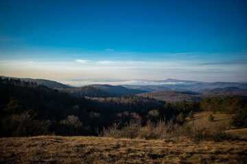 Obraz premium Scenic landscape of forested mountains
