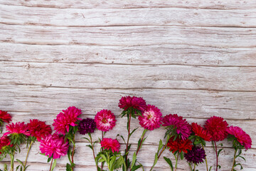 Fototapeta na wymiar Aster flowers on wooden background. Top view, copy space