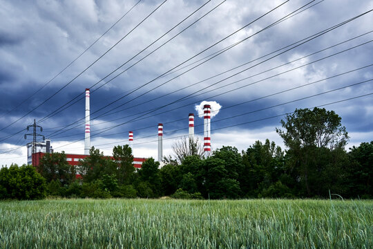 Green field of wheat in front of a coal power plant with power lines
