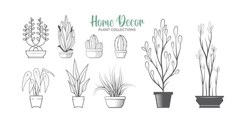 Potted plants for home decoration. House plant in vase vector isolated on white background