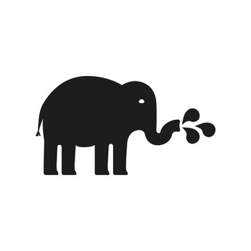 The elephant pours a splash of water out of his trunk. 