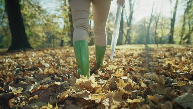 Low section of woman's legs wearing rain boots walking in forest with umbrella. Shot with RED helium camera in 8K.  
