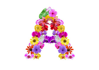 A shape made of various kinds of flowers petals isolated on transparent background, PNG