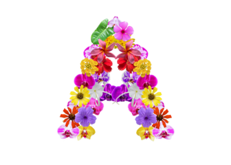 A shape made of various kinds of flowers petals isolated on transparent background, PNG